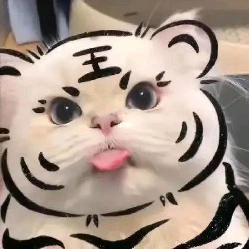 小杰