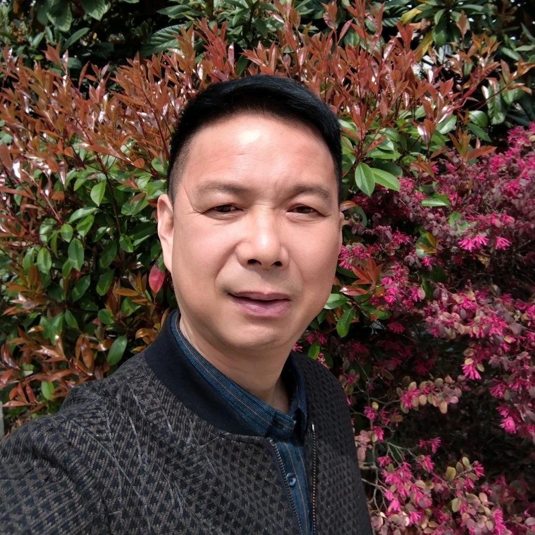 大萝卜茶叶