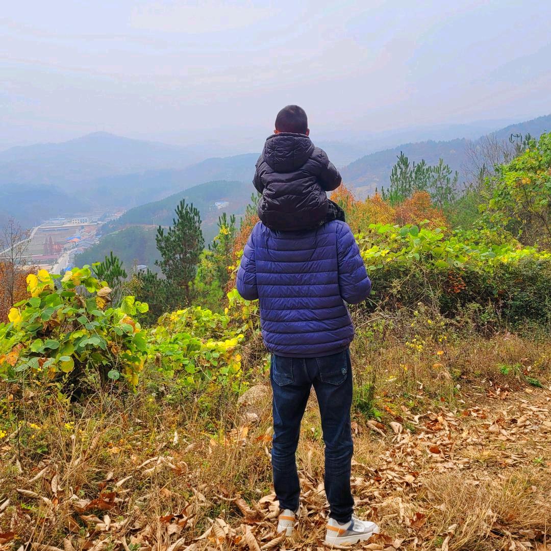 荆山游子