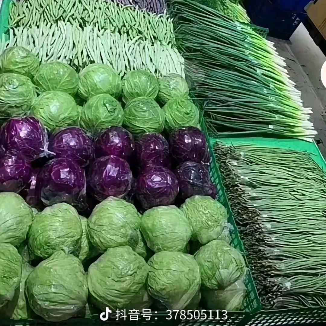 新丰王立江蔬菜批发带零售