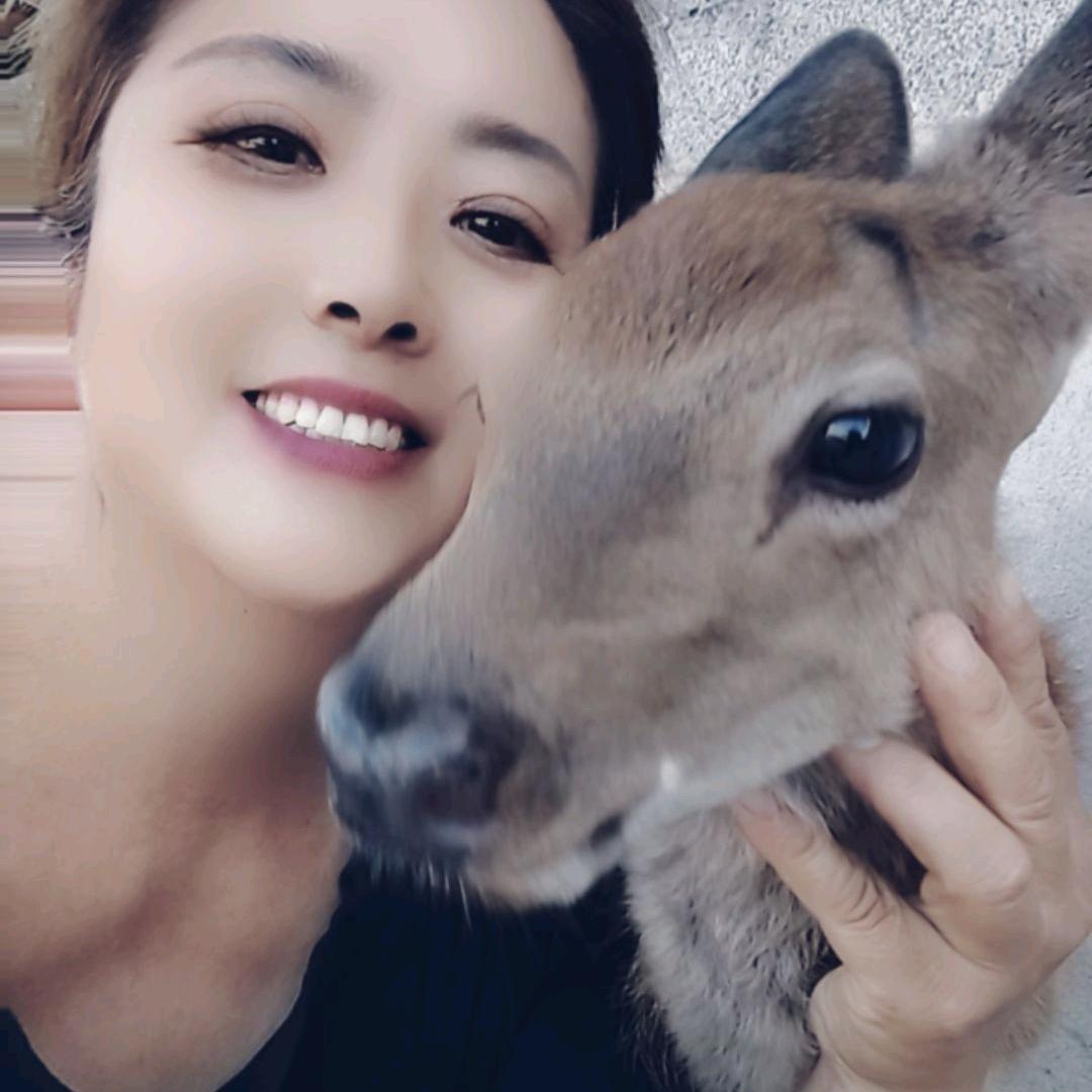 渭南梅花鹿养殖场