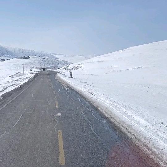 雪域雄鹰