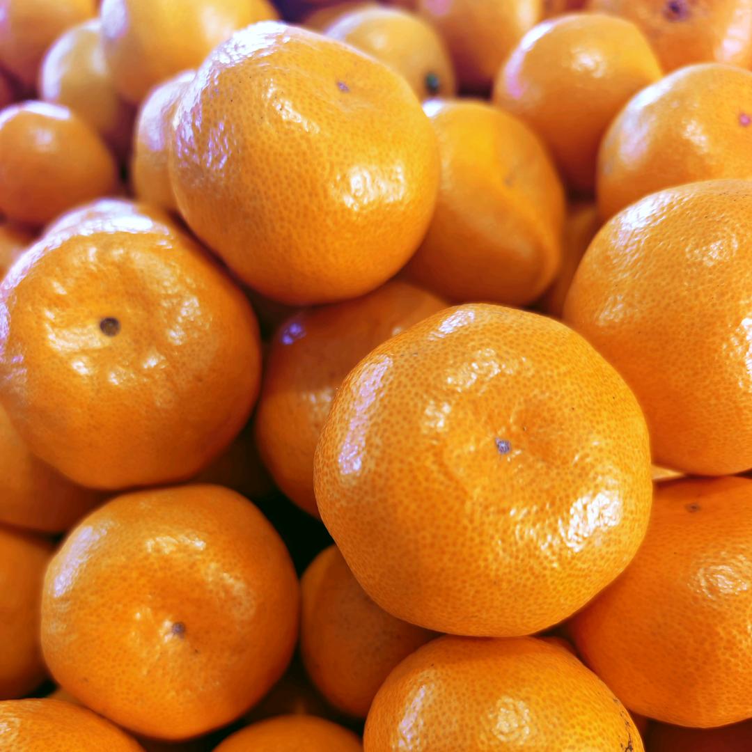 老金家的涌泉蜜桔