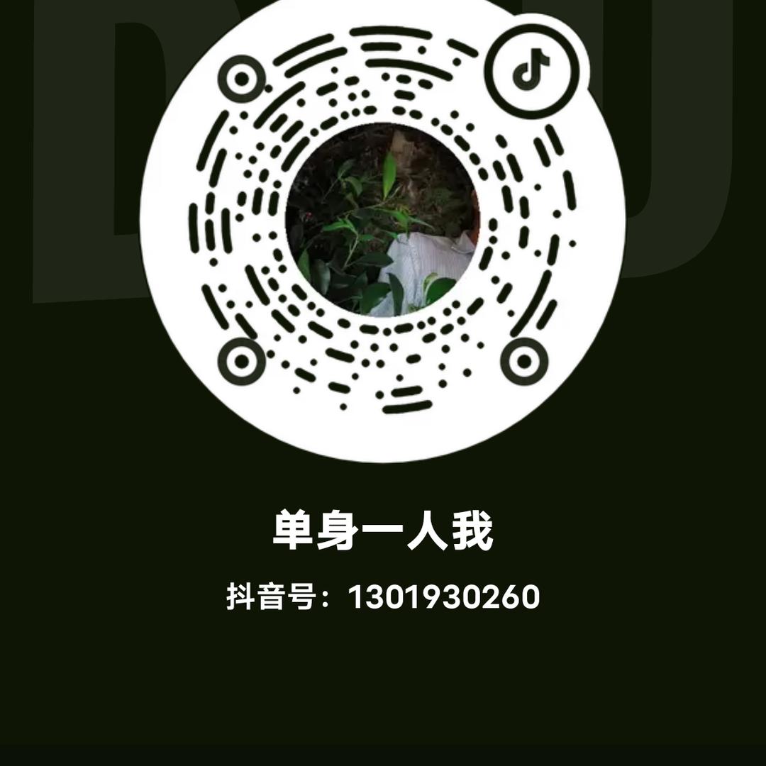 高高兴兴，，，