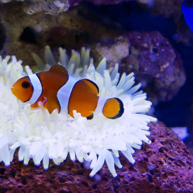 雨®(⑅•ᴗ•⑅)◜..°♡