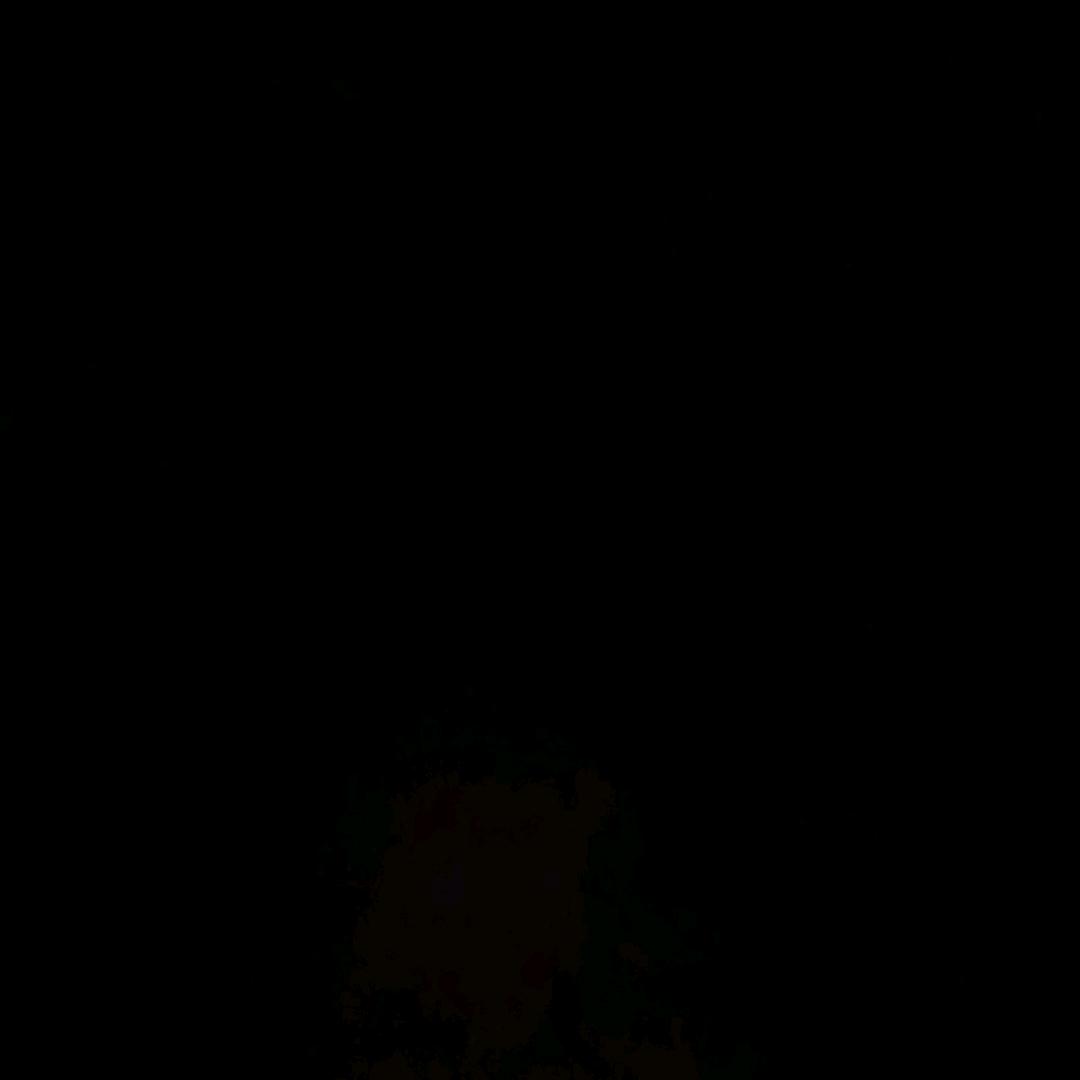 百年好合