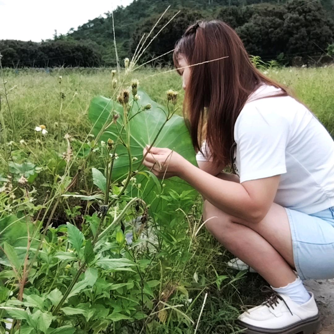 四川妹