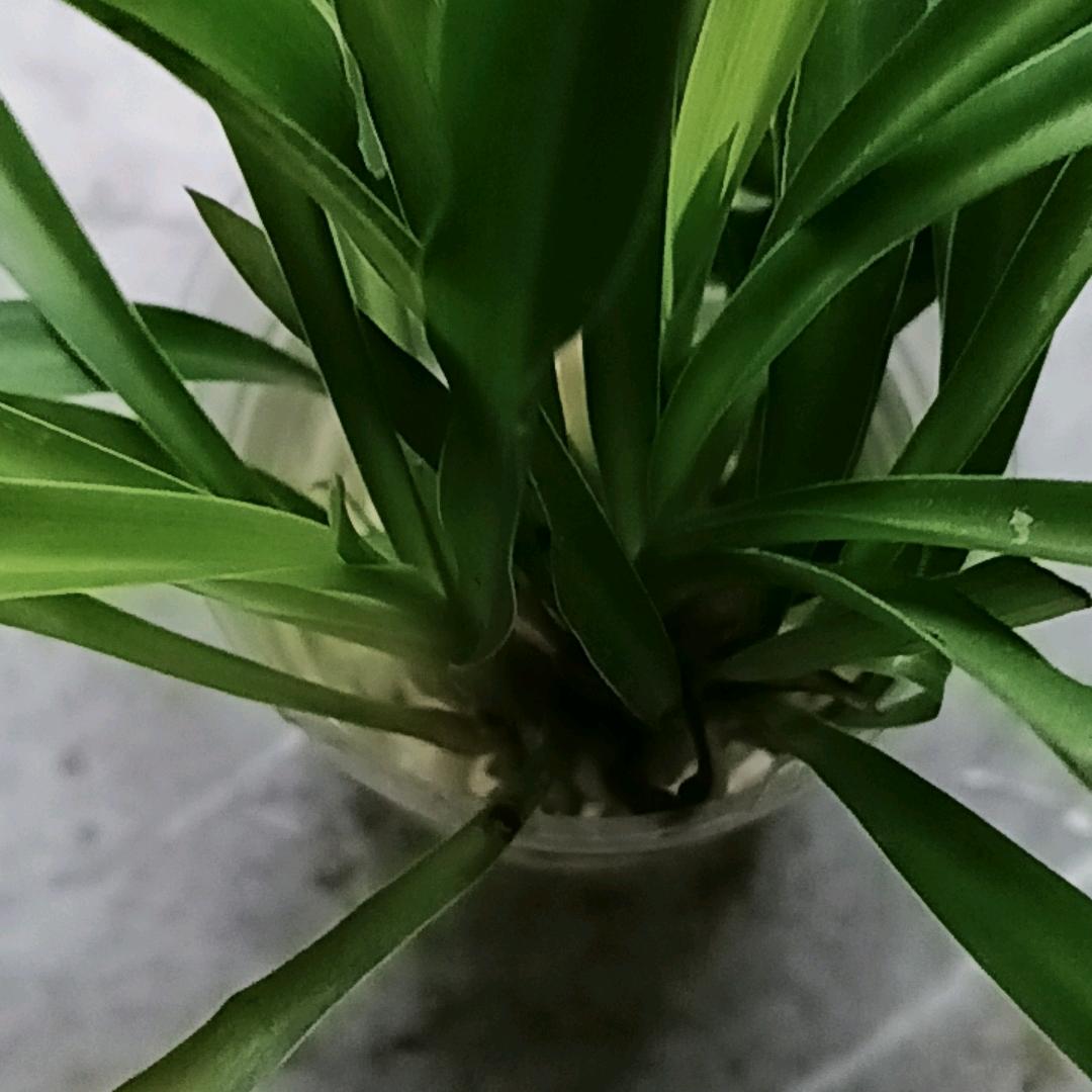 一生平安
