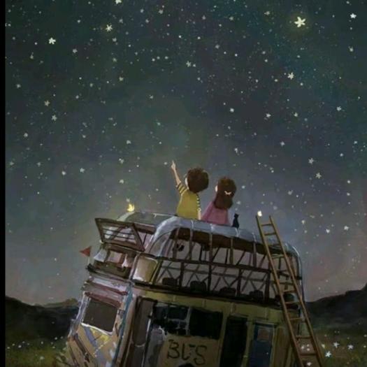 清梦压星河