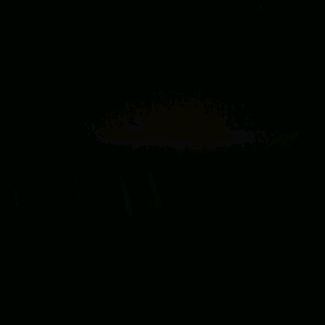 傲骨的渊