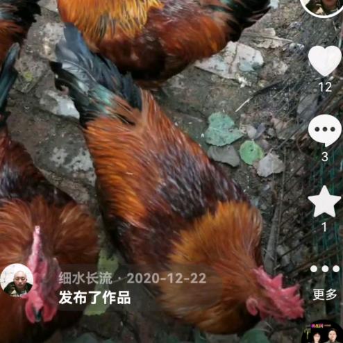 细水长流
