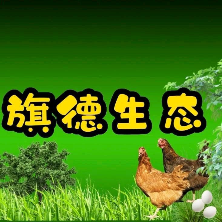 【万千旗德】
