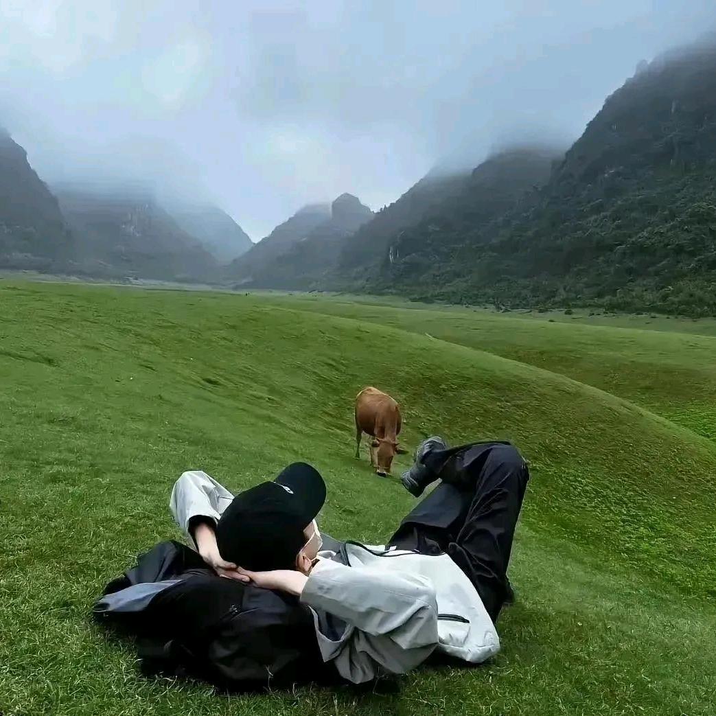 💰ꪔ̤̱碳酸饮廖$^