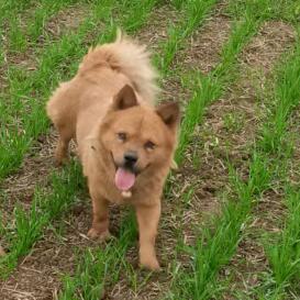 风华依旧笑春风