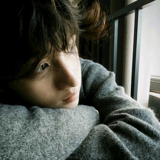 一颗忧郁的板栗