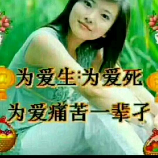 💞我这💞一生💞