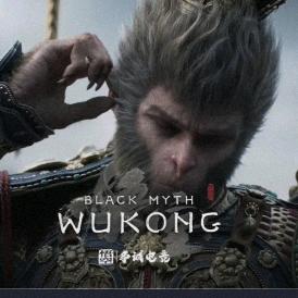 爱玩游戏的小林