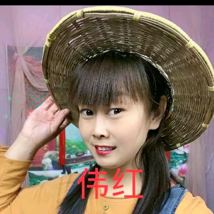 李伟红（河北梆子）