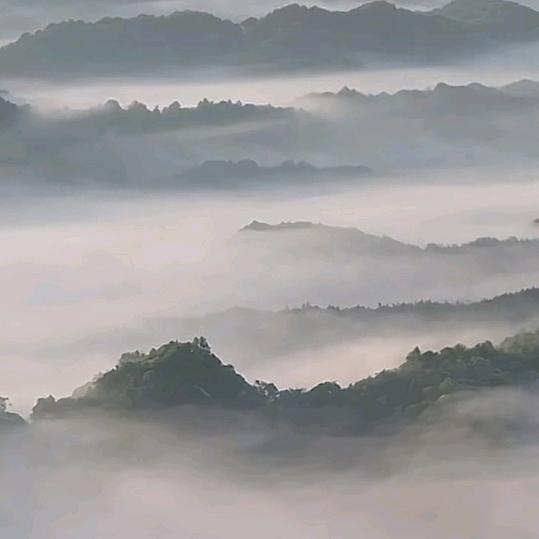 彪哥顺口溜