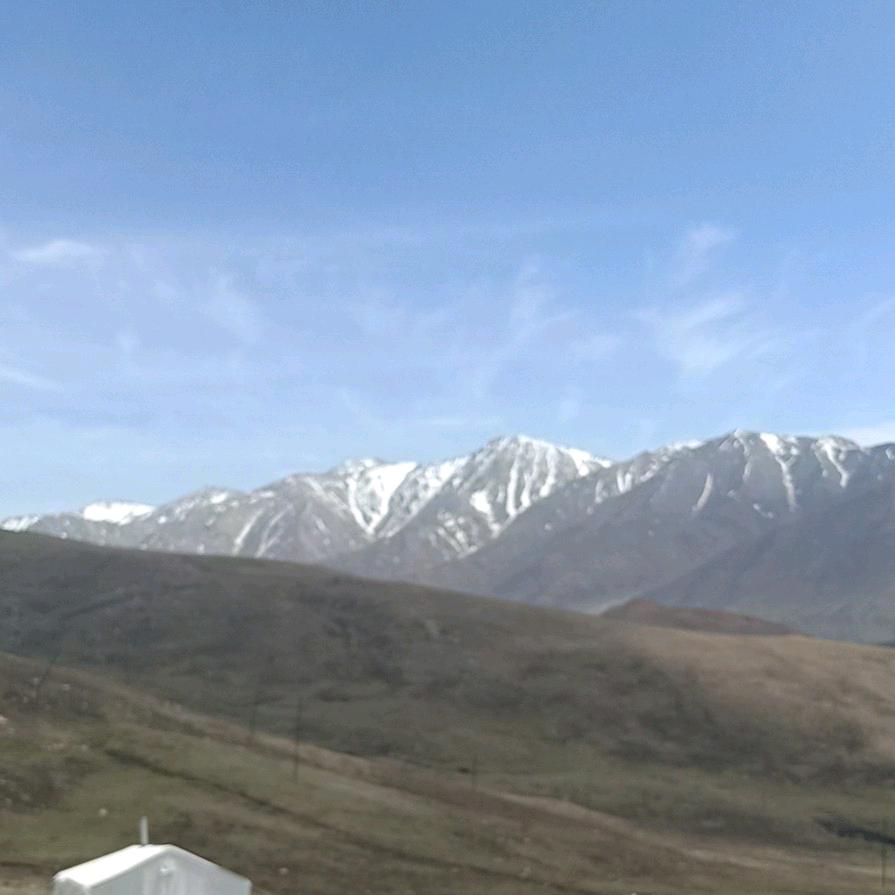 河南人在青海