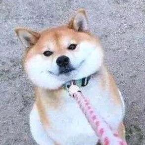 一动不动
