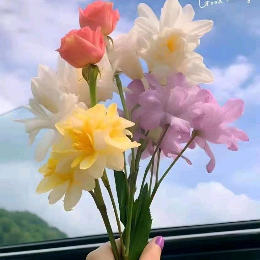 杰游