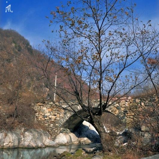 伏牛景观