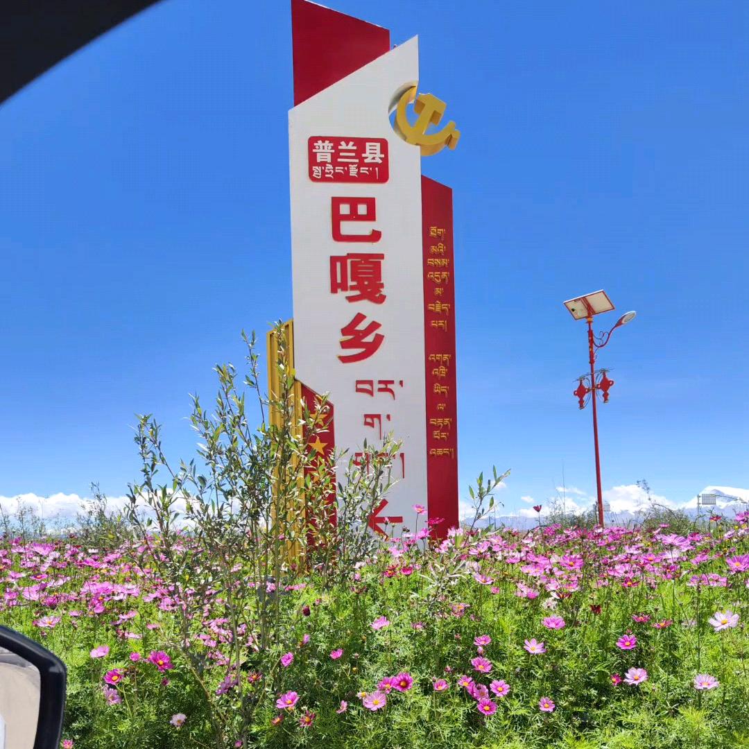 三先生
