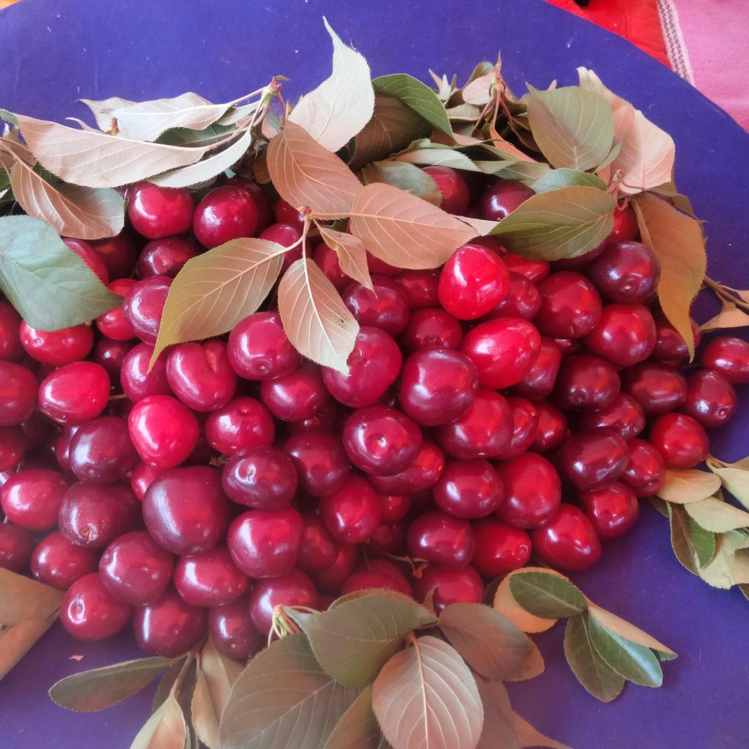 天水水果可代发