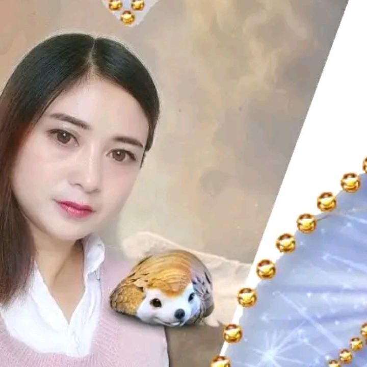 🌹🌹小马🌷🌷回族，