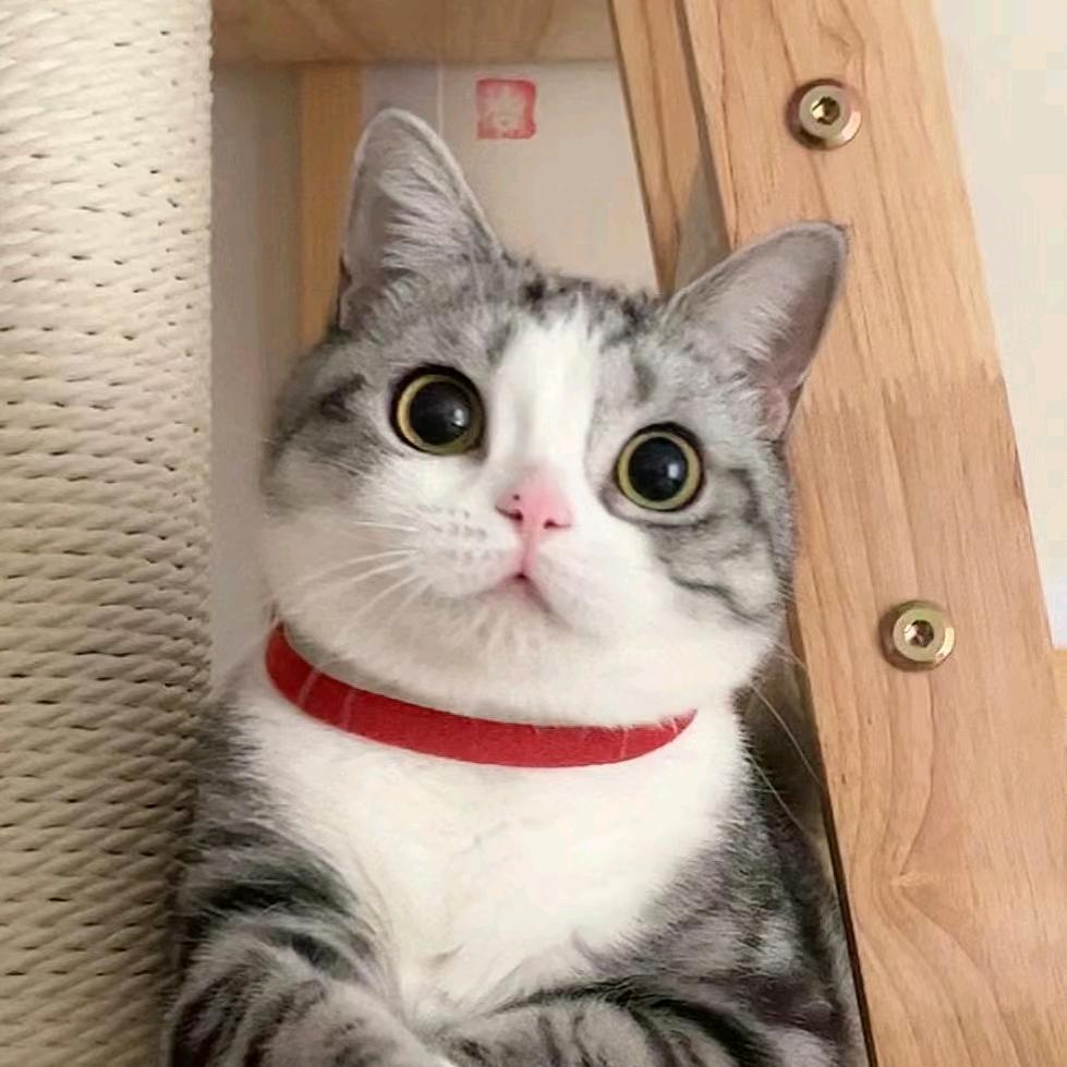 缘乐悦