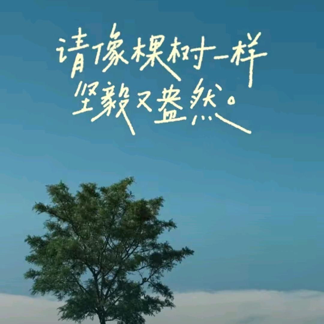 柠檬