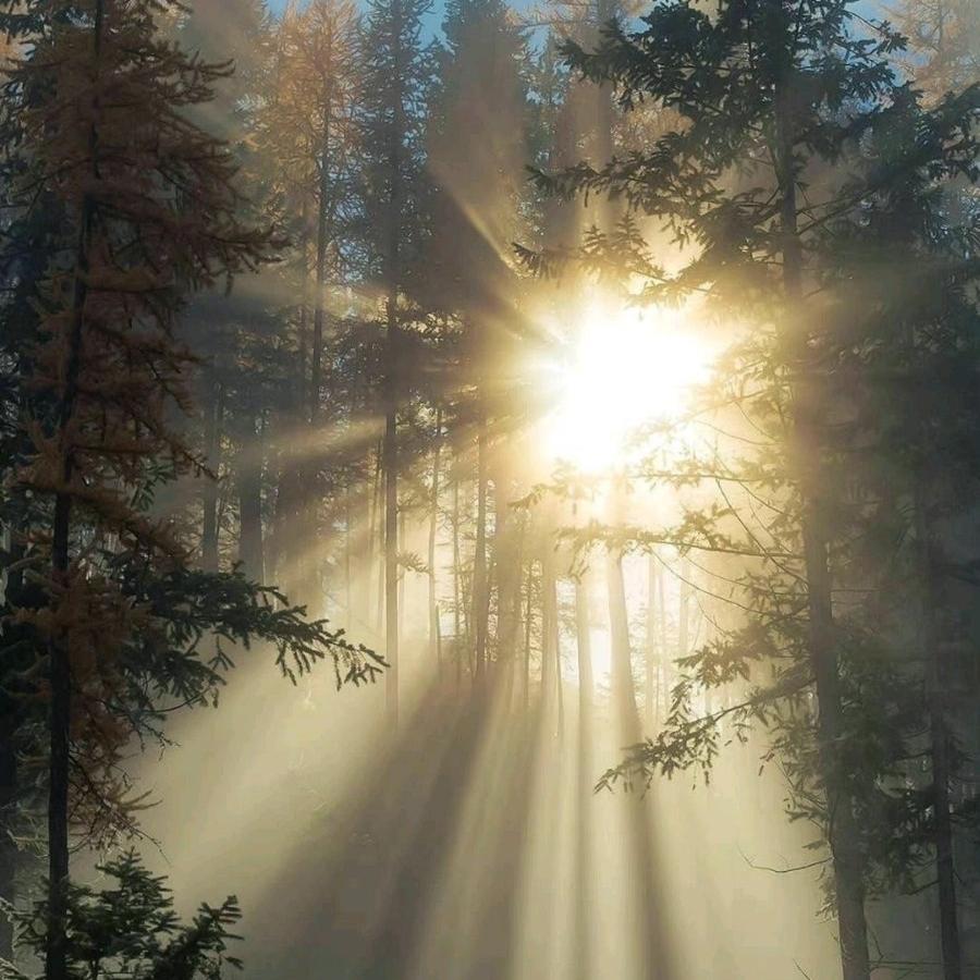 从此不敢见上仙