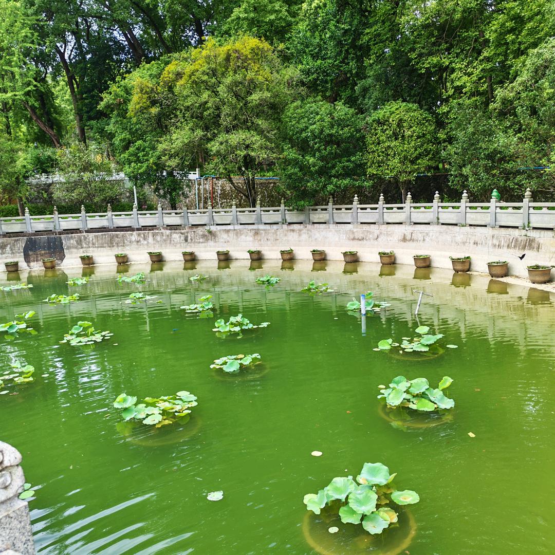 海南清水湾装修小赵