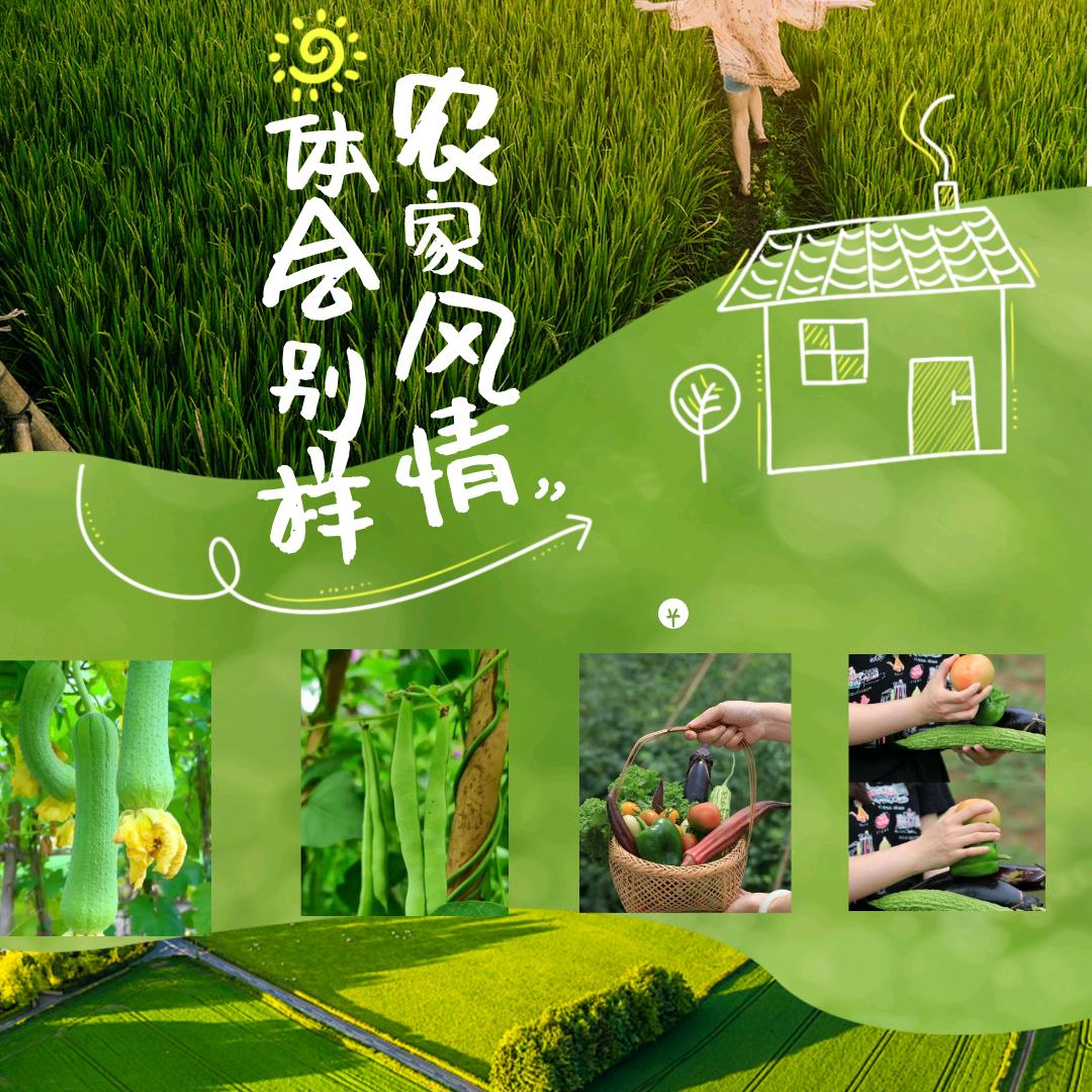 如你所院家庭种植共享菜园