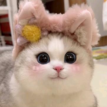 不二臣