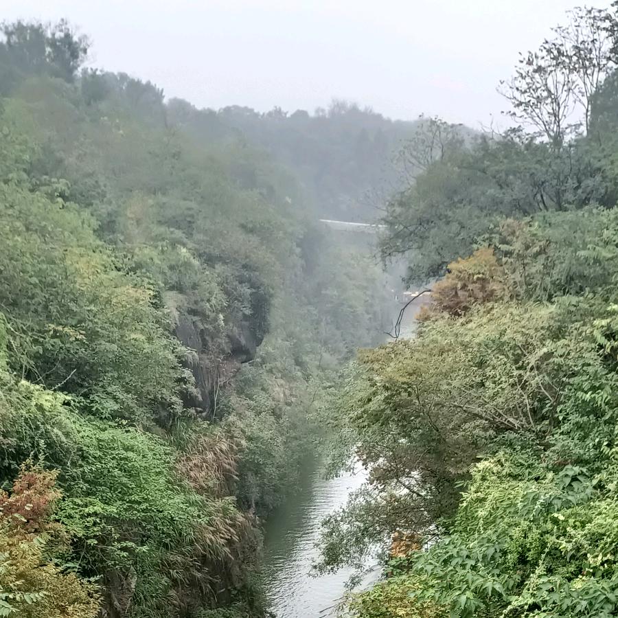 🚬ಇ᭄笑敬过往࿐