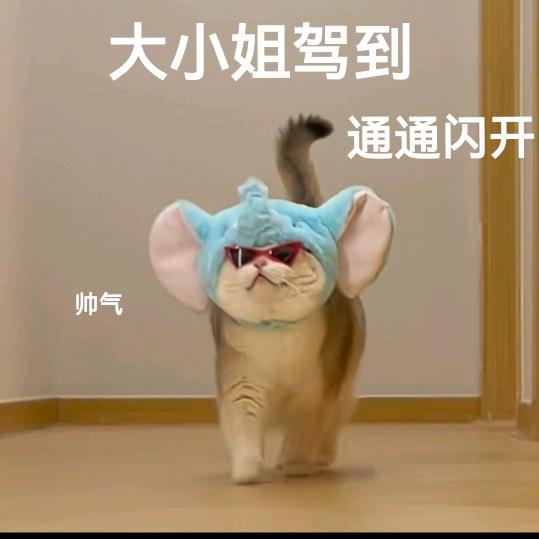 尼尼^O^