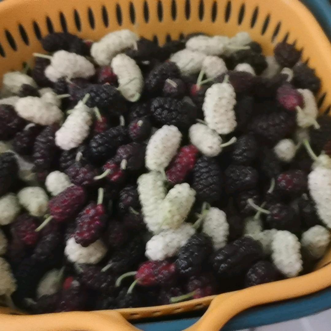 梅姐姐