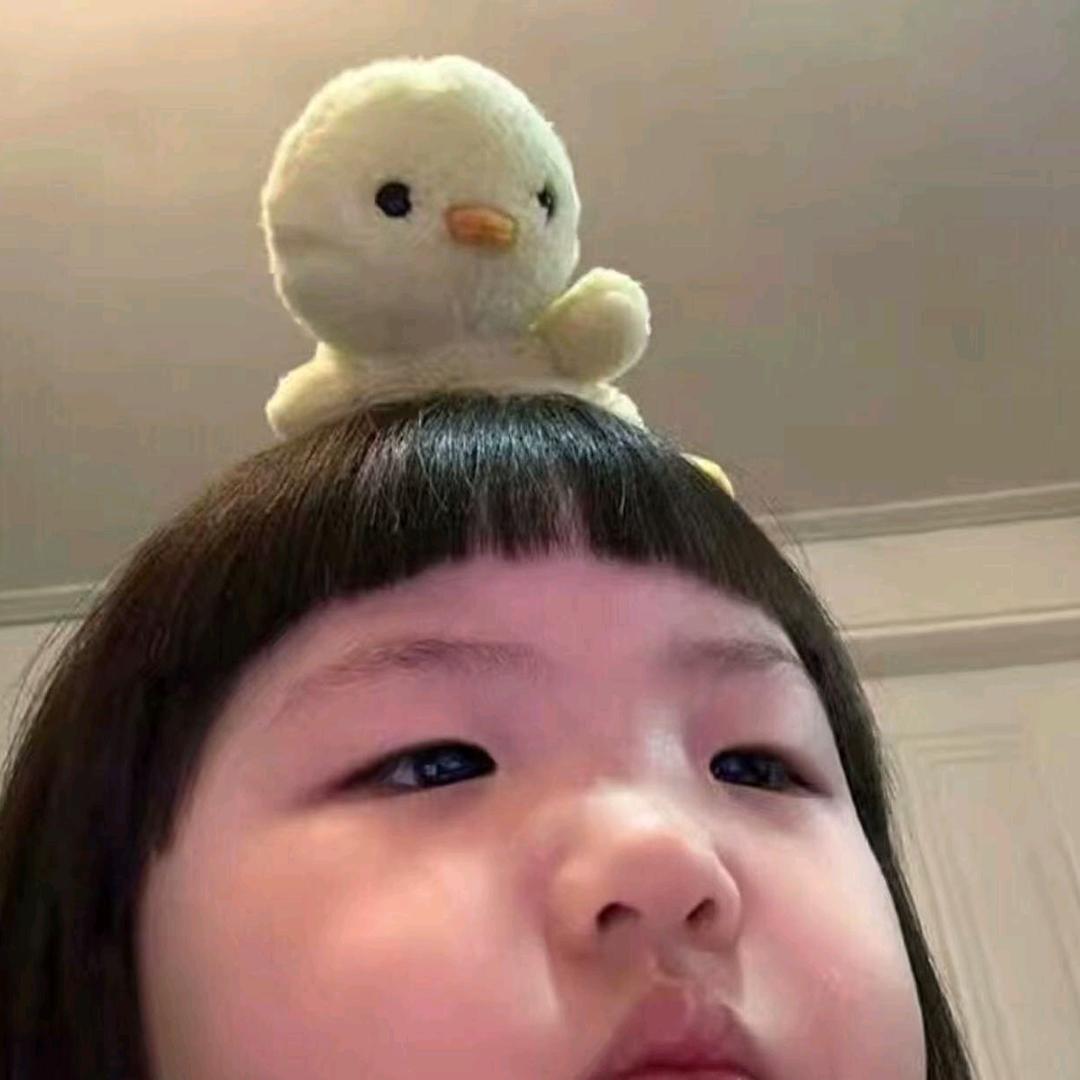 ㅤㅤㅤㅤㅤㅤ  ㅤㅤㅤㅤㅤㅤ头像