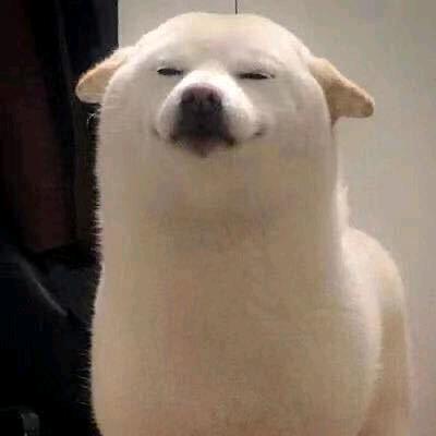 随你便