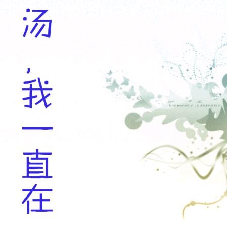 负我不负她
