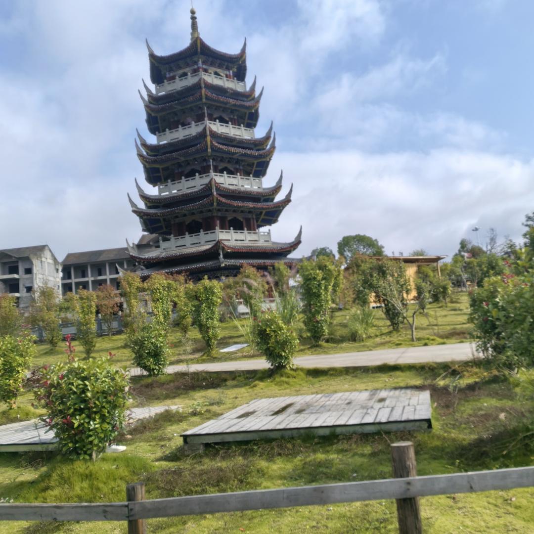 虚荣发的什么意思？