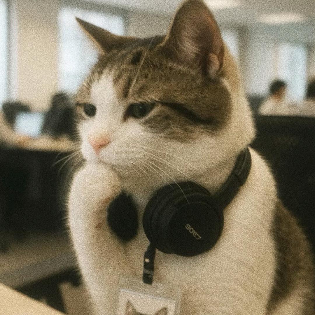 呆毛的甜甜🌧️