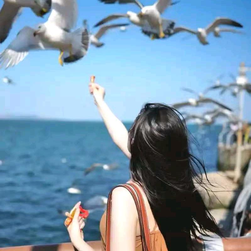 逐浪为澜