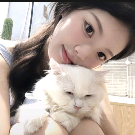 小猫的开心第一