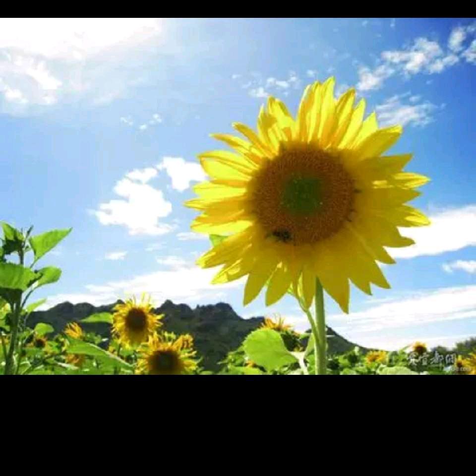 好人一生平安520