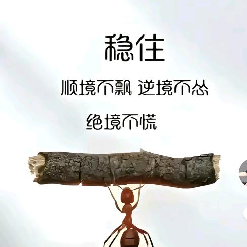 贺先生𓆡𓆝𓆟𓆜𓆞𓆝𓆟