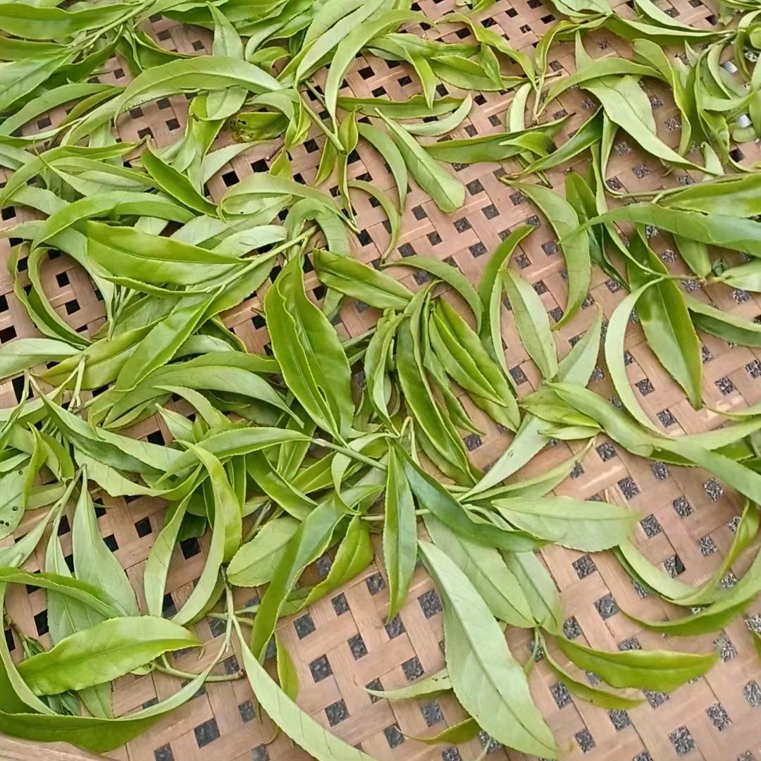 感恩有你，依然爱你