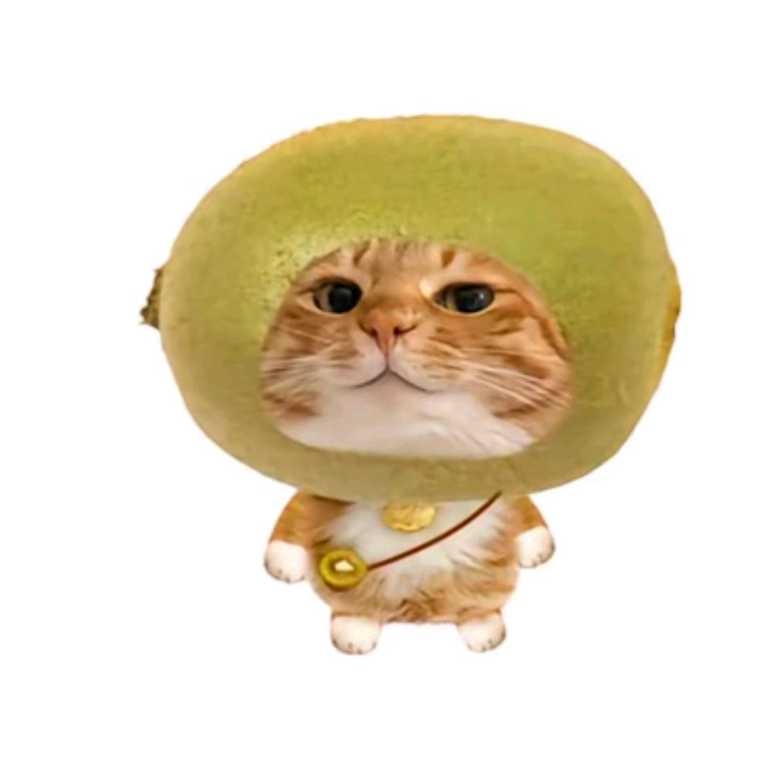 猕猴桃的（桃）🌙